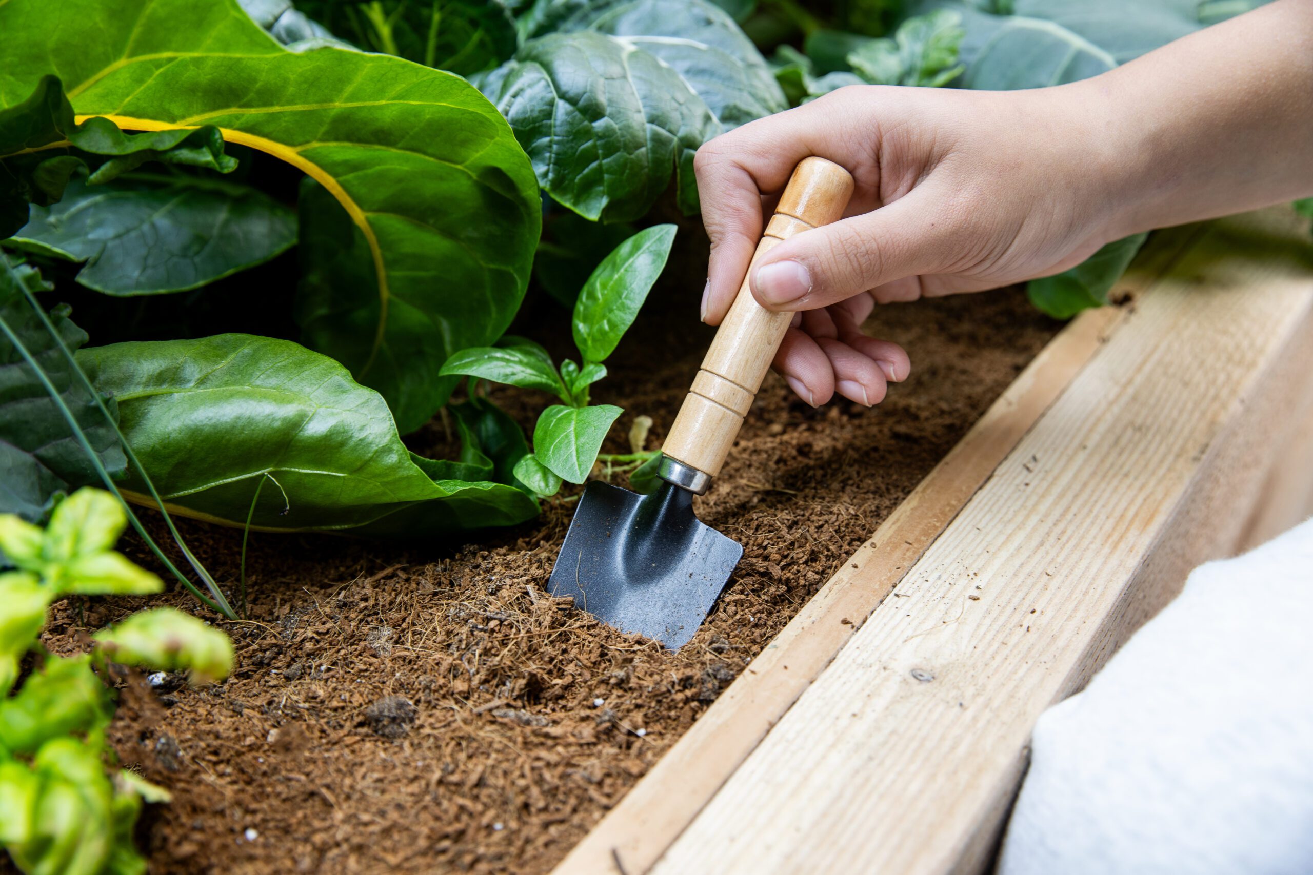 Celebrating the Recipients of AMA’s Winter 2025 School Garden Studio Bursary  